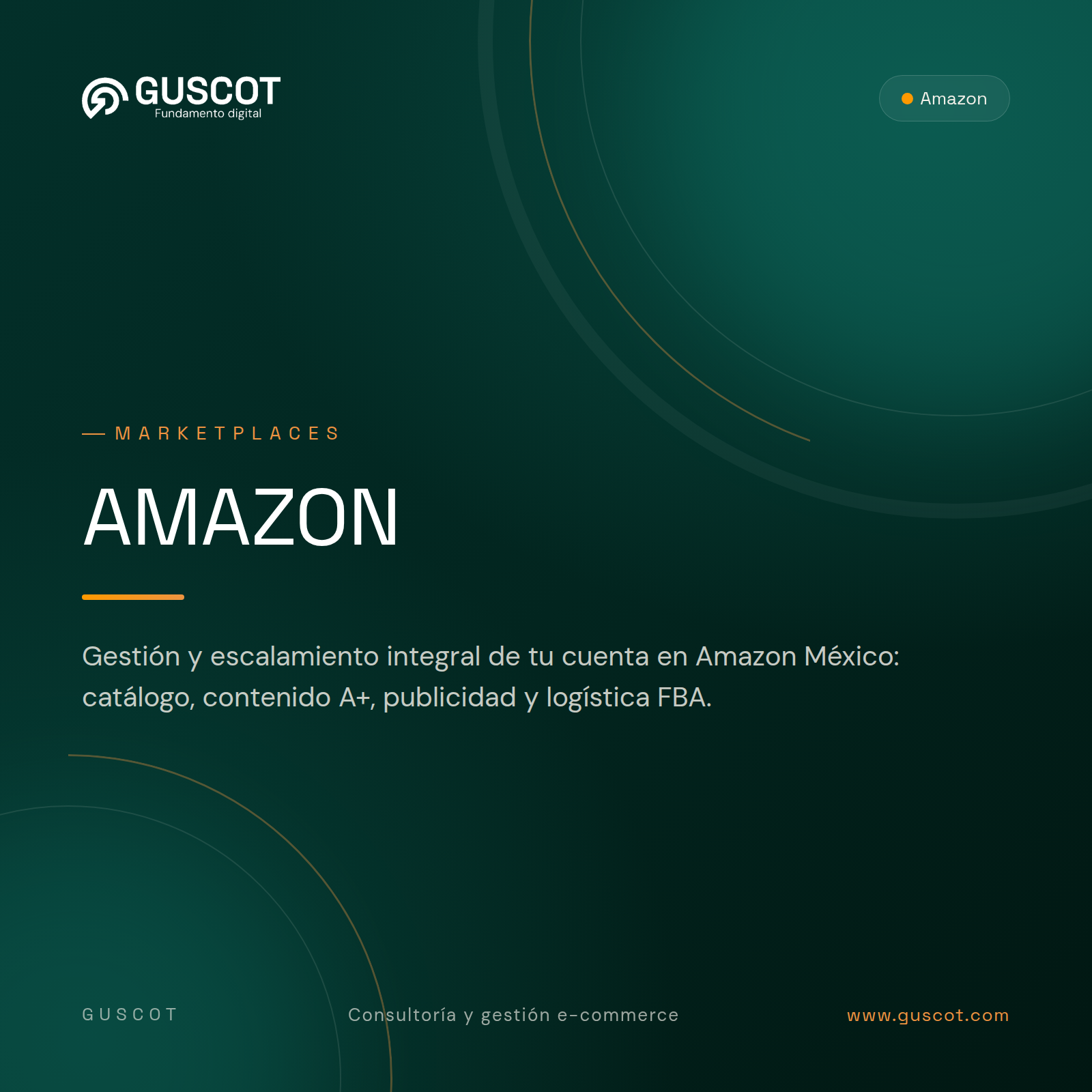 Gestión y escalamiento de cuentas Amazon México - GUSCOT