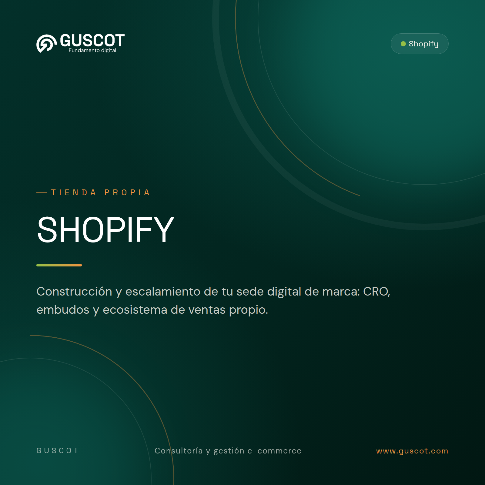 Escalamiento de tiendas Shopify - GUSCOT