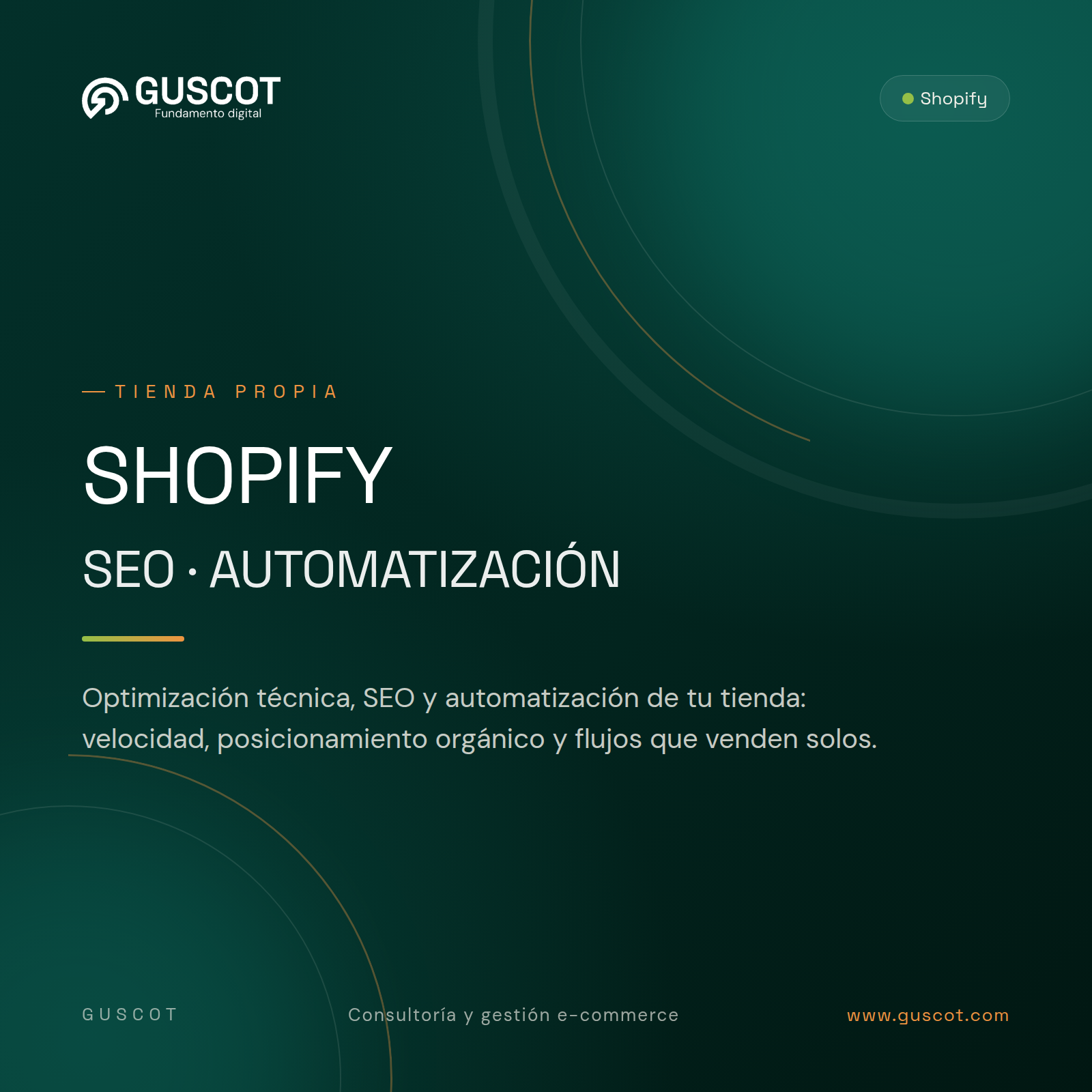 Optimización, SEO y automatización Shopify - GUSCOT